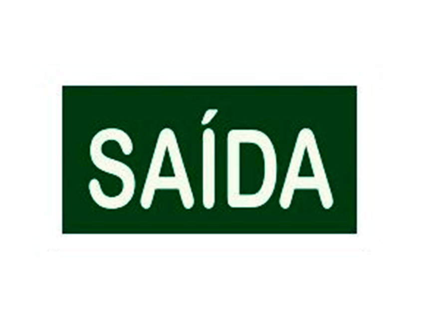 Placa-S12---316x158-mm---Saída